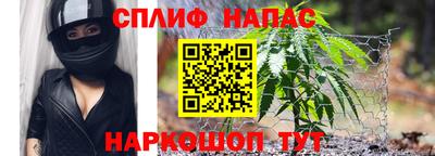 трава Аргун