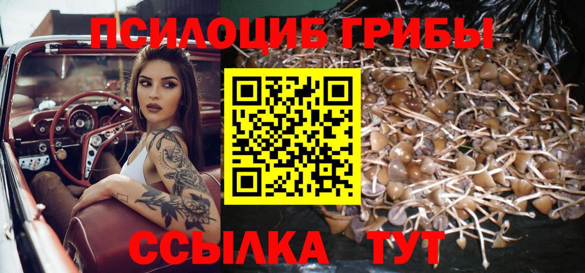 Псилоцибиновые грибы прущие грибы  Вход с VPN  Волгоград 