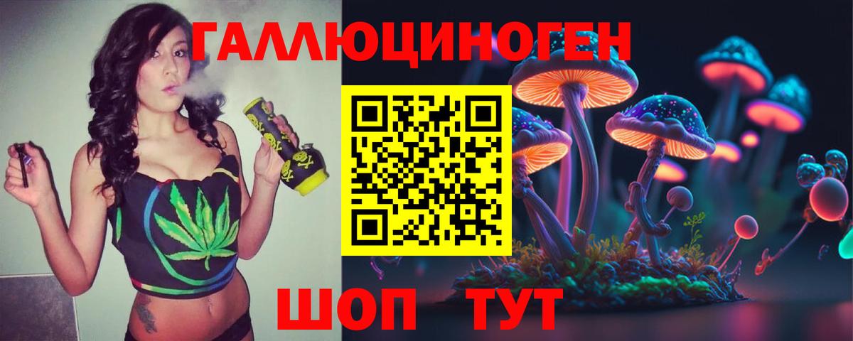 Псилоцибиновые грибы Psilocybe Волгоград
